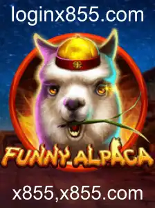 Descubra o Mundo Envolvente de FunnyAlpaca
